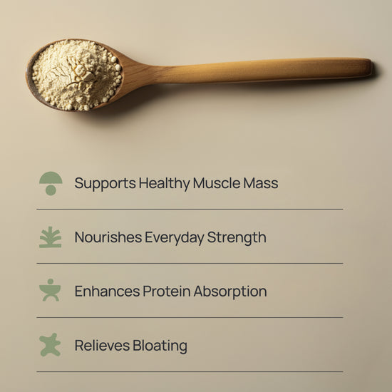 Norse Strength Fermented Protein