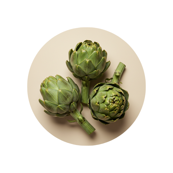 Artichoke Extract