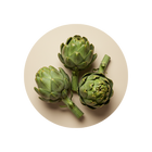 Artichoke Extract
