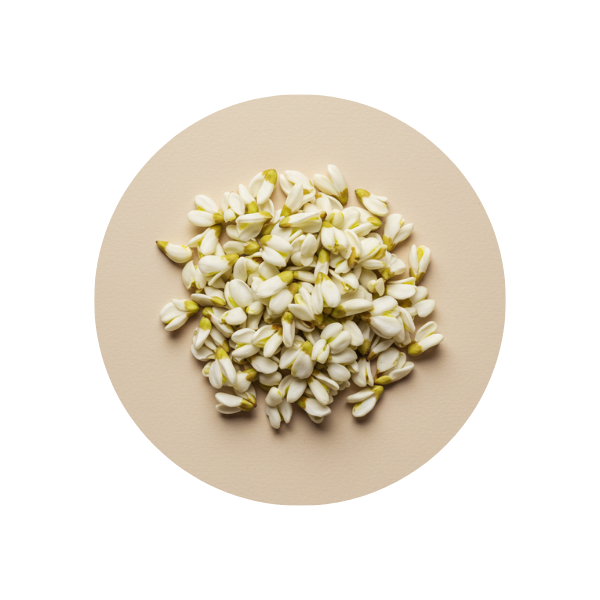 Acacia