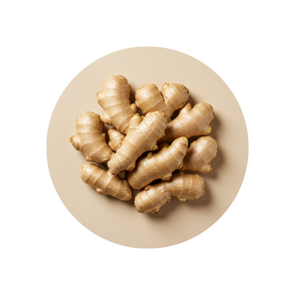 Ginger Extract