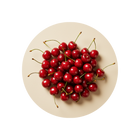 Montmorency Cherry Extract 