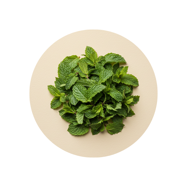 Spearmint
