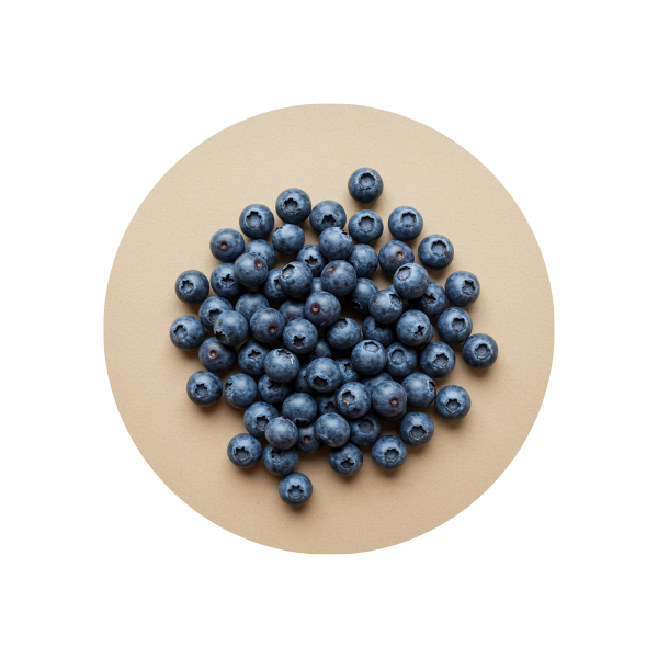 Blueberry Extract