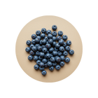 Blueberry Extract