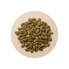 Pumpkin Seed Extract