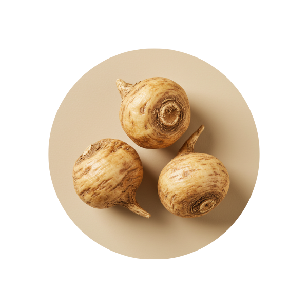 Maca Root