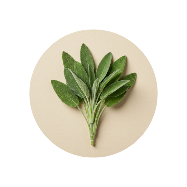 Sage Extract