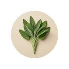 Sage Extract