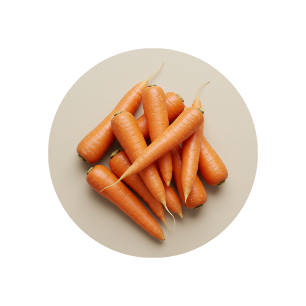 Carrot Root Powder