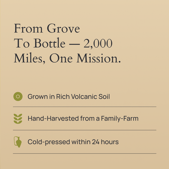 Ancient Roots Olive Oil