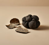 Truffle