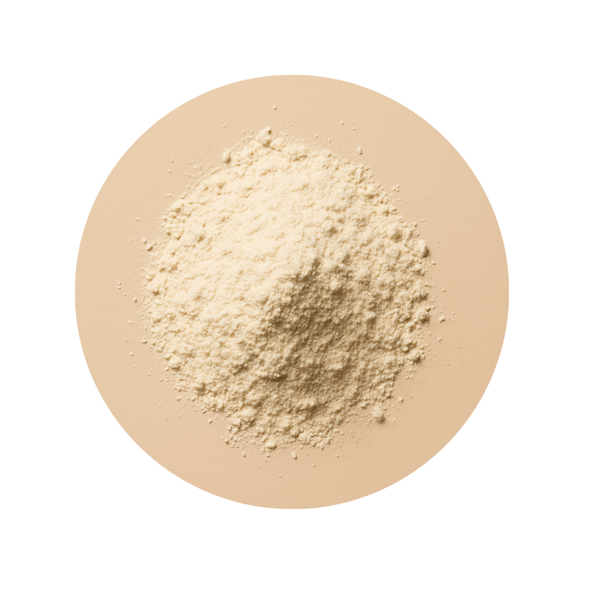 Fermented Whey Protein