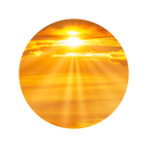 Vitamin D
