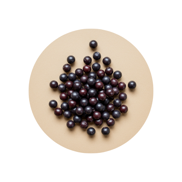 Maqui Berry 