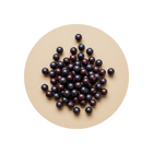 Maqui Berry 